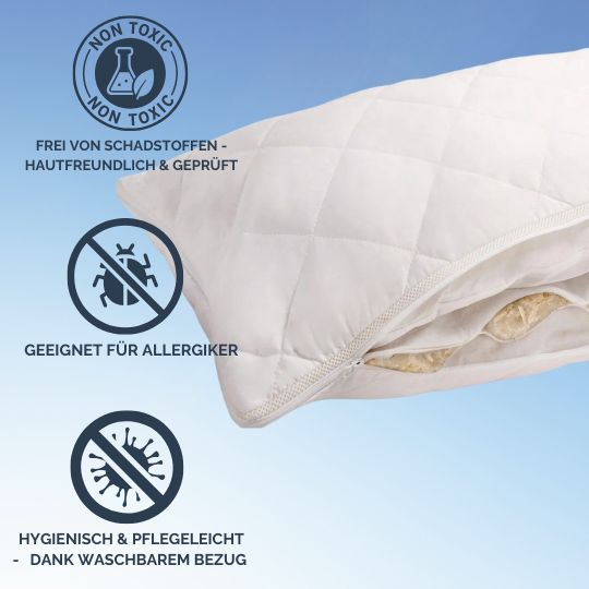 Physionight Duftschlafkissen &