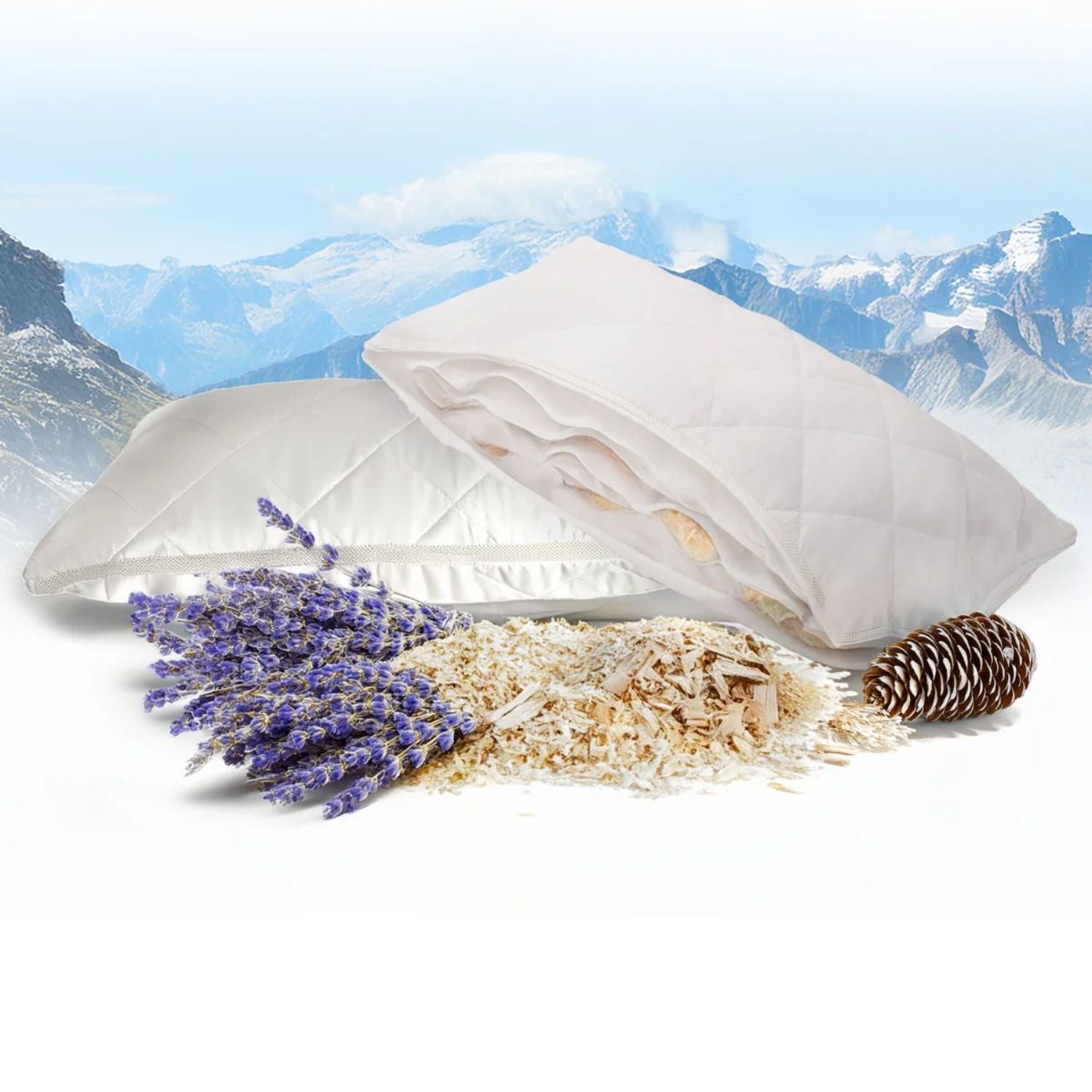 Physionight Duftschlafkissen &