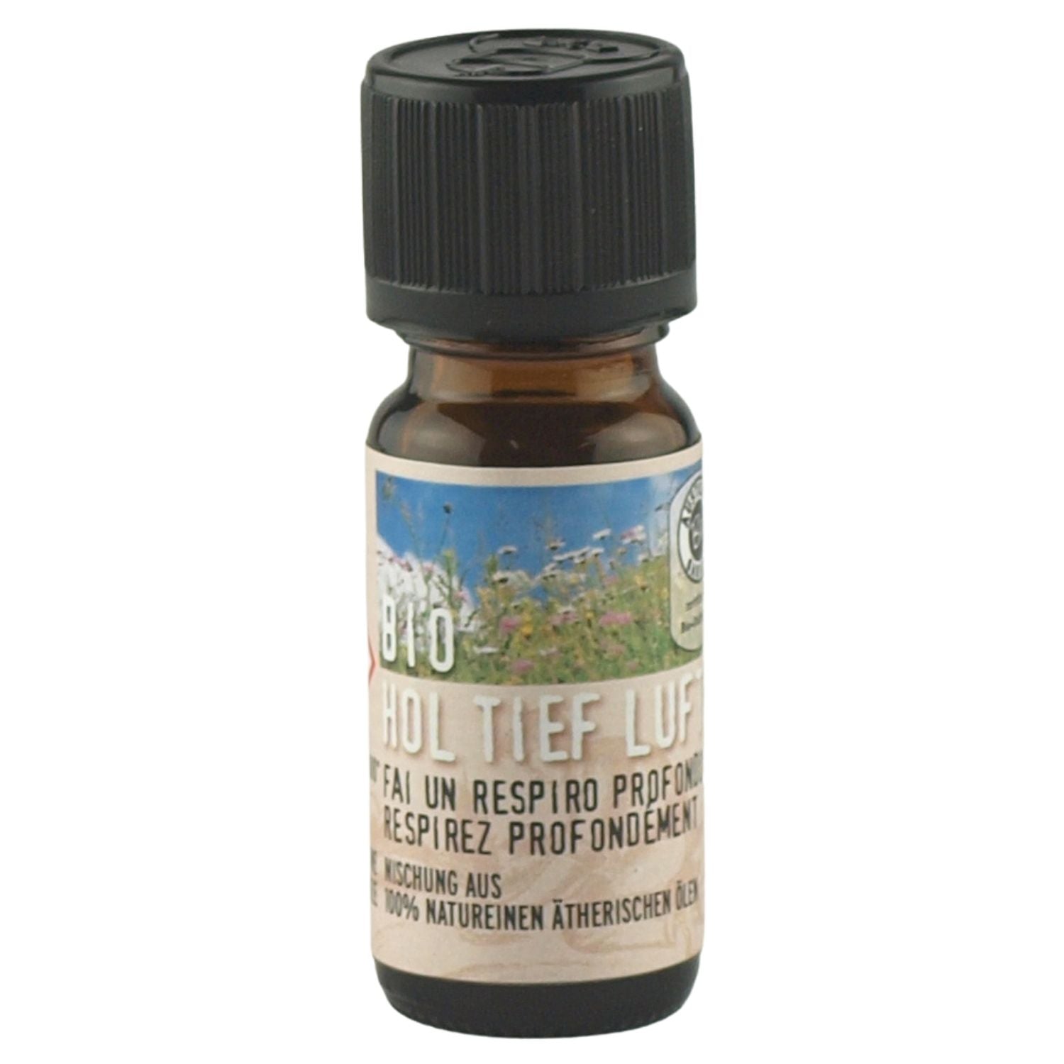 Ätherische Duftöl-Mischung | 100% Bio Öl | 10 ml | für Diffuser, Duftlampe, Duftstein, Sauna