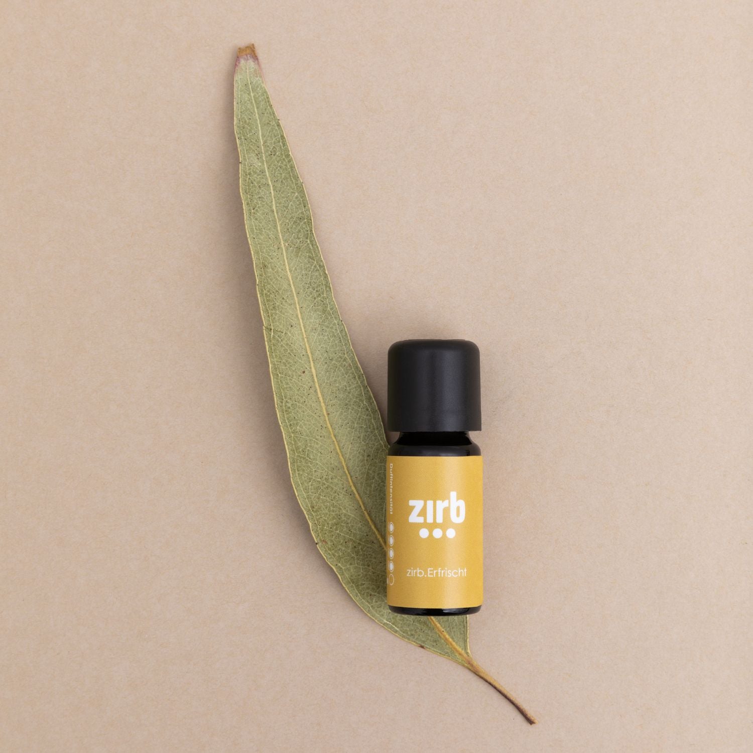 Ätherisches Öl | 10 ml | 100% natürlich | in verschiedenen Duftnoten