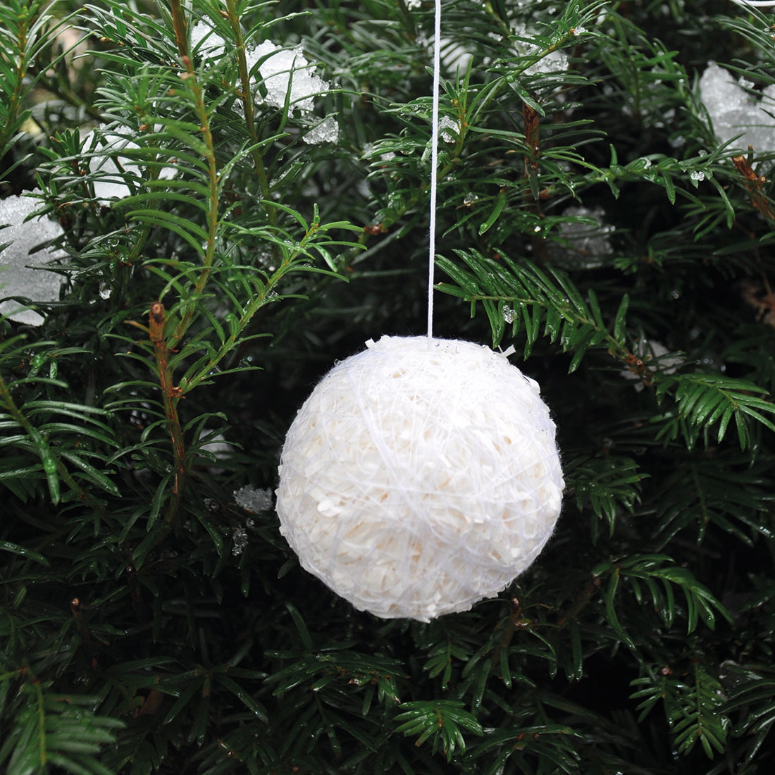 Christbaum &